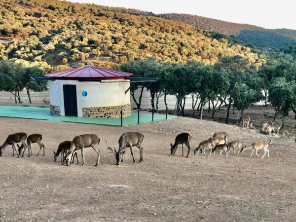 Astroturismo Aldeaquemada 07